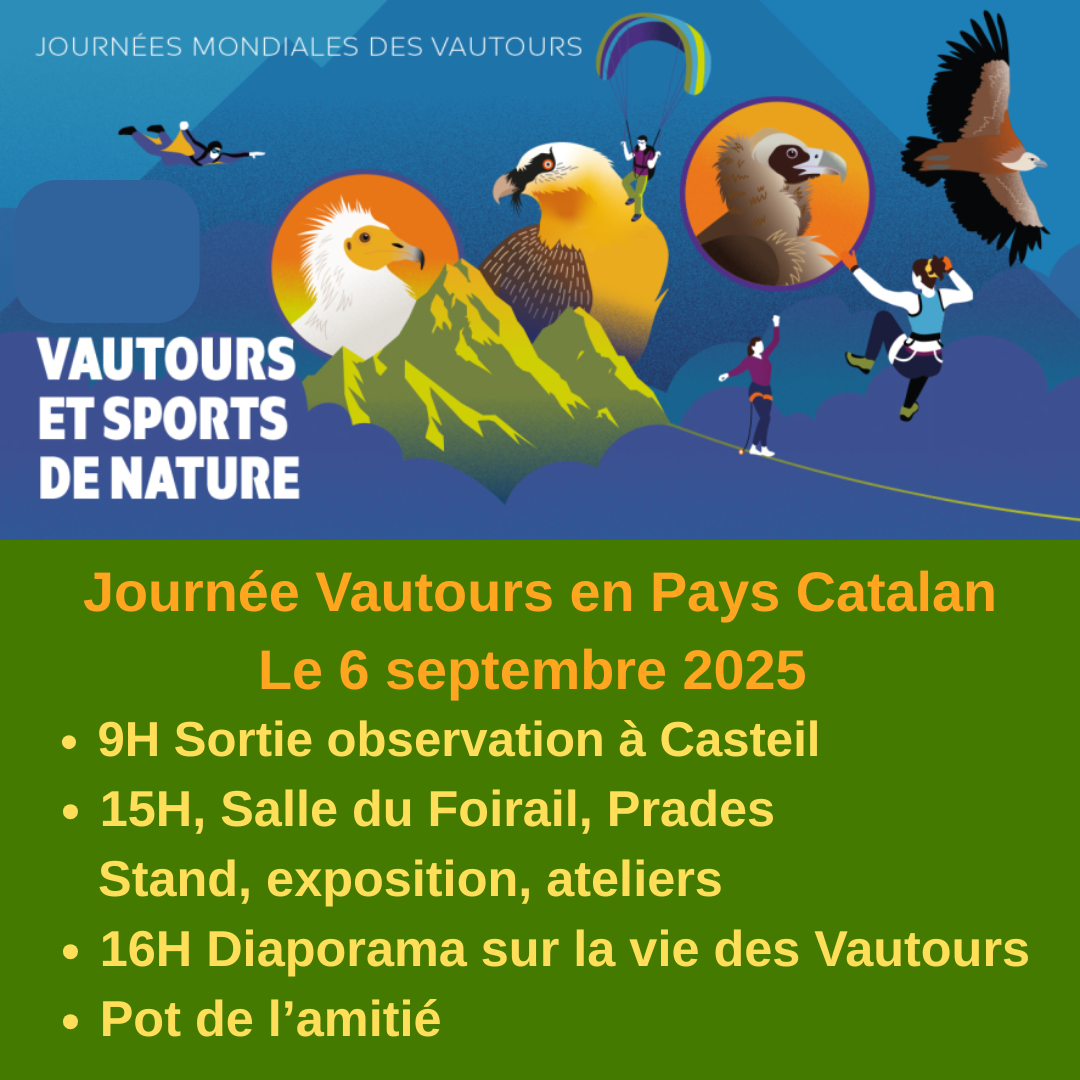 Journée Mondiale des Vautours sortie et animations